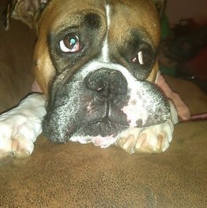 Meet your Posher, Scott